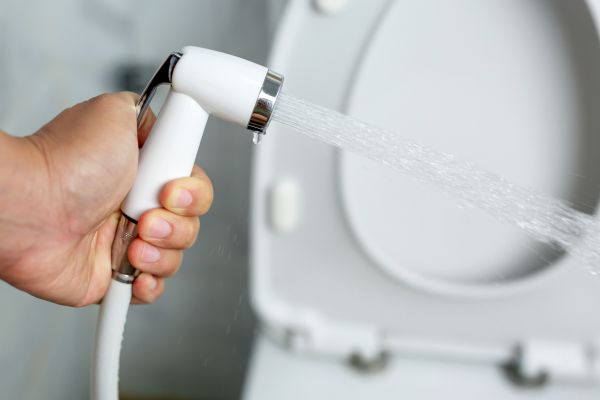 Cost of Bidet Installation in Layton