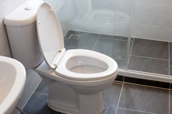 Cost of Toilet Replacement in Layton